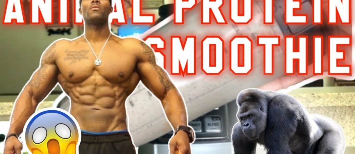 ANTIOXIDANT RICH HIGH ANIMAL PROTEIN SMOOTHIE - WEIGHT LOSS & MUSCLE BUILDING (Step by Step Recipe)