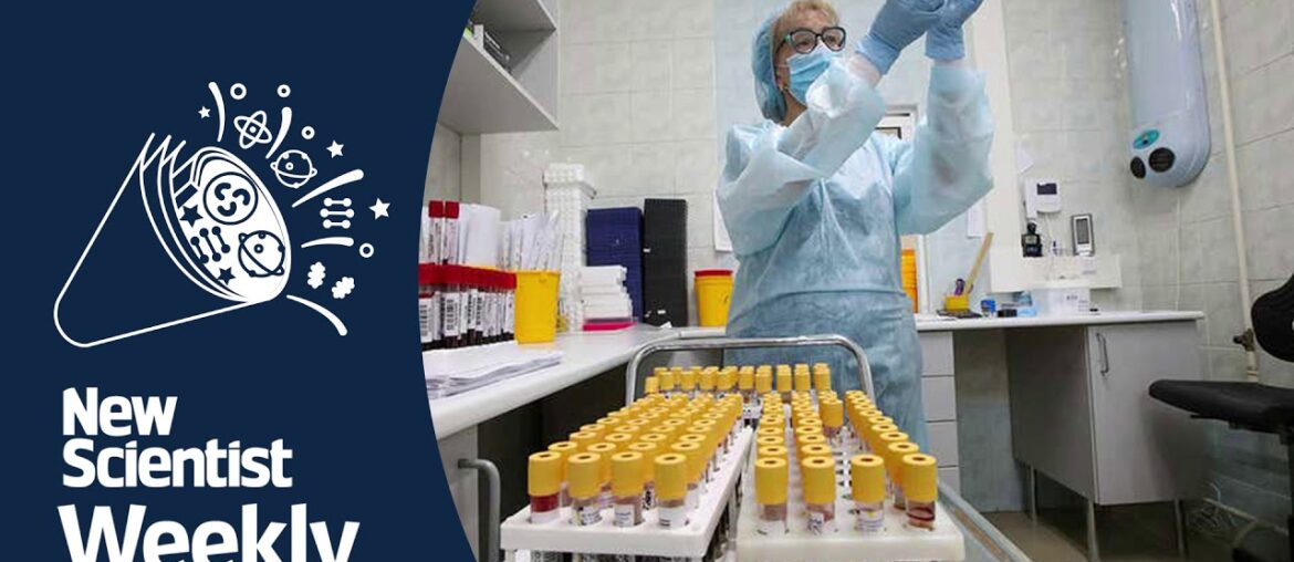 #23: Coronavirus immunity and vaccine; the evolution of leadership; CRISPR gene editing in people