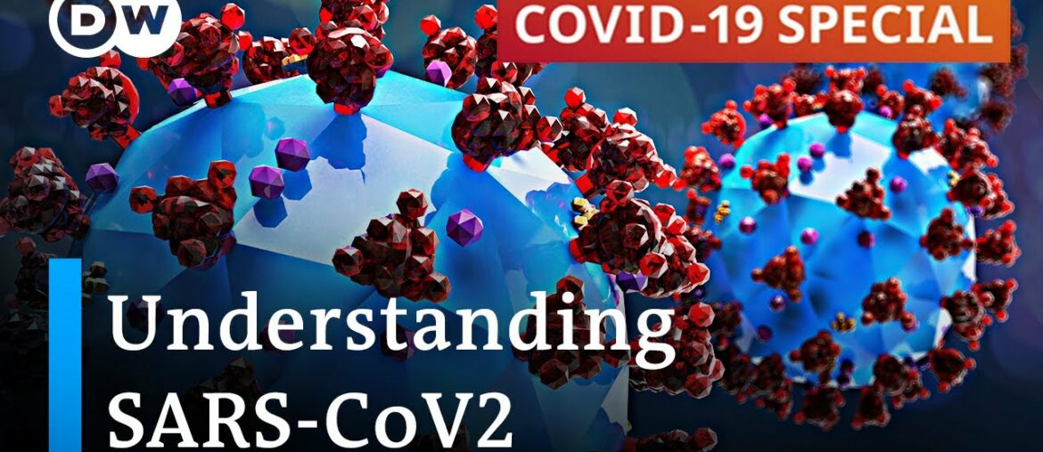 Researching coronavirus: What are the findings? | COVID-19 Special