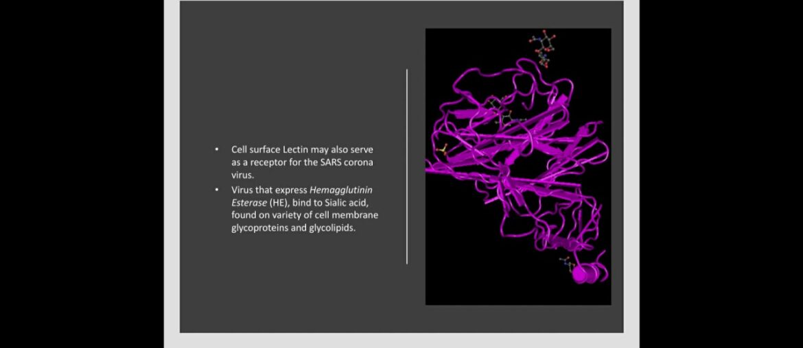 Corona Virus complete information till now.