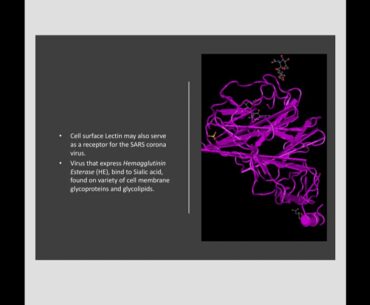 Corona Virus complete information till now.