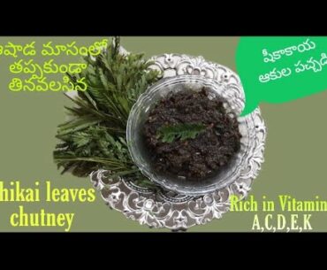 ##SHIKAI LEAVES CHUTNEY - RICH VITAMINS -A C D E K##