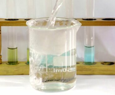 Food Tests - Iodine, Biuret, Benedict's, Ethanol, DCPIP