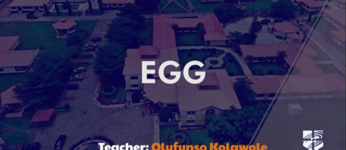 Egg - SSS1 Foods & Nutrition