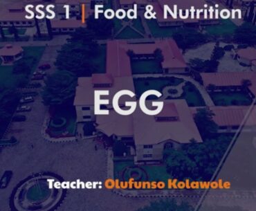 Egg - SSS1 Foods & Nutrition