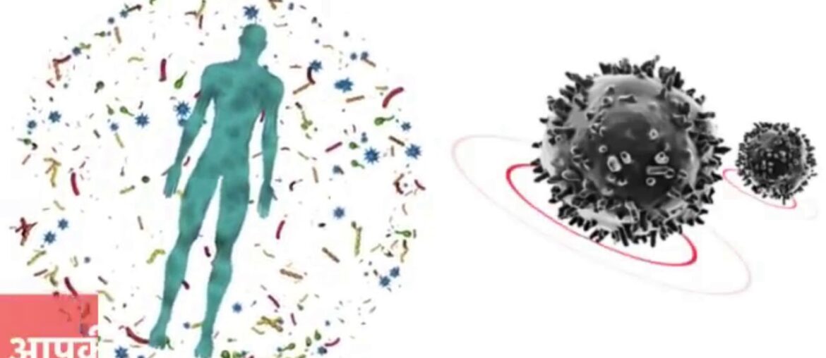 How can we alkaline our body.  PVMF = ALKALINE BODY #RCM #NUTRITION #fightcoronawithimmunitypower