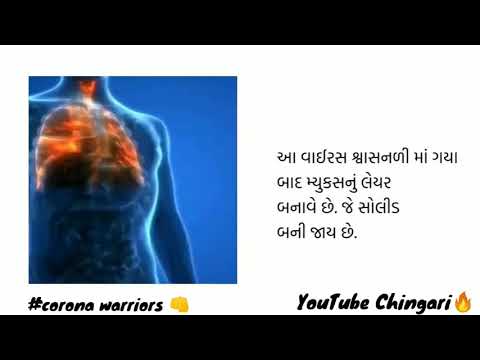 how to improve immunity power in covid19!! Top 10 tips