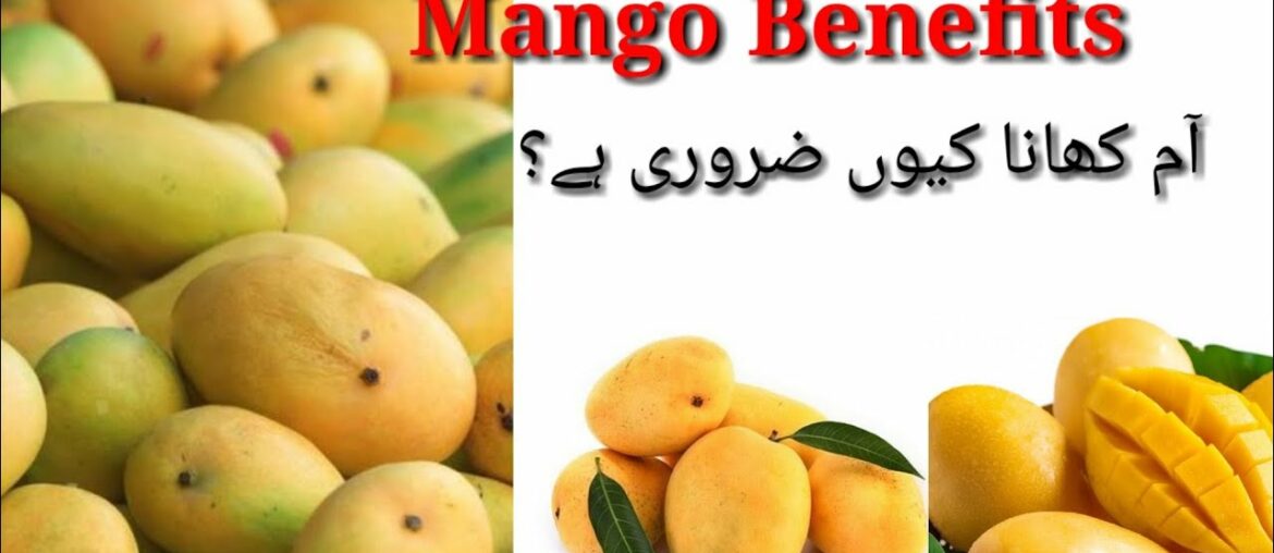 Mango Health Benefits