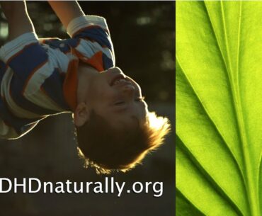 Focus Program by ADHD Naturally: ADHD Vitamins, ADHD Supplements, Testing, Diet and More