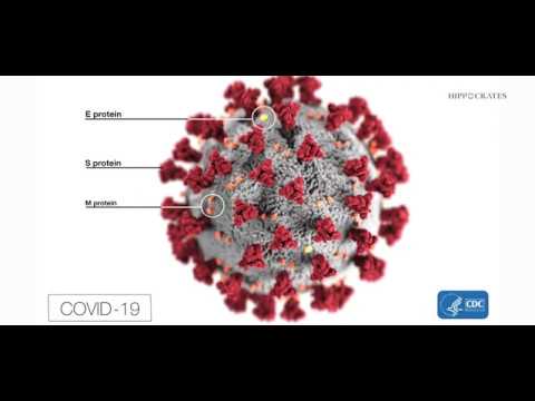 Coronavirus Tips - Hippocrates Health Institute