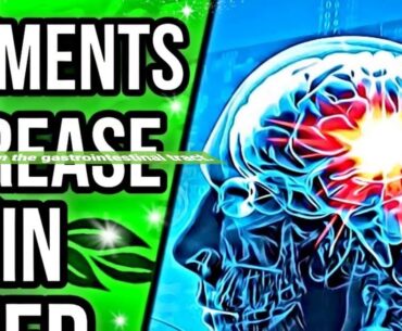 6 Simple Techniques For Vitamins and Supplements - Livestrong.com