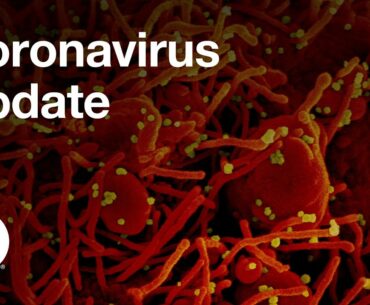 Coronavirus Update With Anthony Fauci