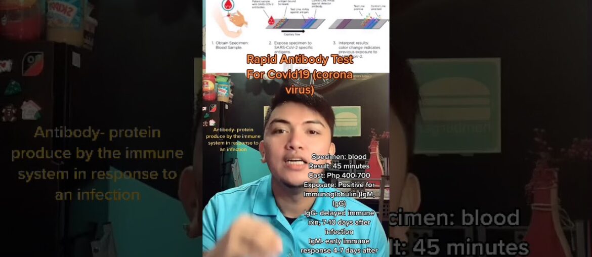 Rapid Antibody Test made easy, coronavirus, pandemic, test, serology test, immune system, antibody