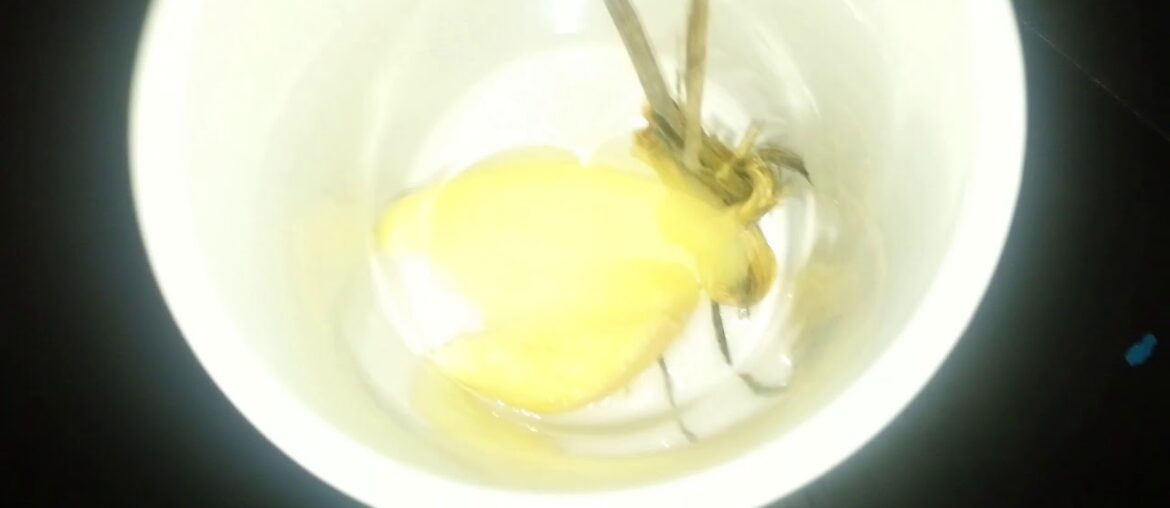 #StayHome Fight for COVID-19: Chinese Vitamin Hot Tea Drink