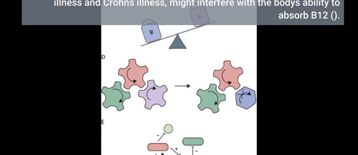 Not known Facts About Which vitamins and supplements actually work? - Macleans.ca