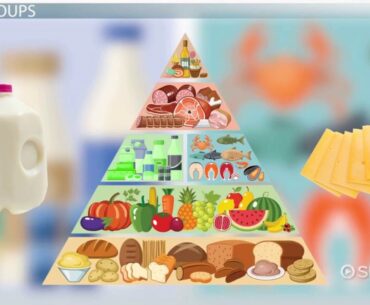 9 Easy Facts About Lactose Intolerance - Academy of Nutrition Explained