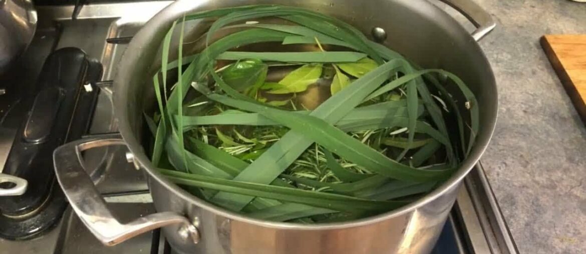 Herbs to help boost the immune system and ward of viruses such as Coranavirus Covid 19.