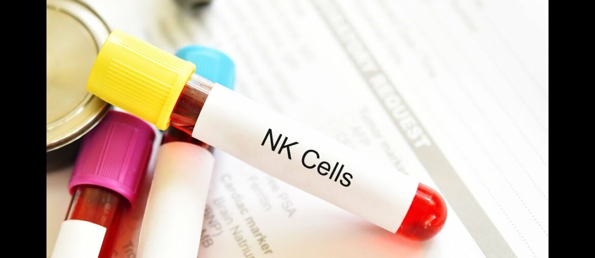 These Immune Cells Are Proven To Kill COVID-19