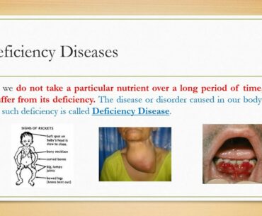 NCERT - Class 6 - Science - Ch-2 - Components of Food (Part 1)