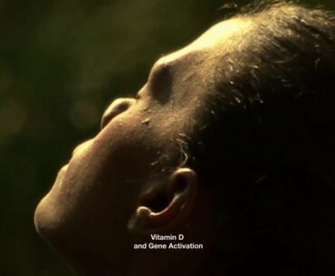 Sunshine Vitamin (2016)