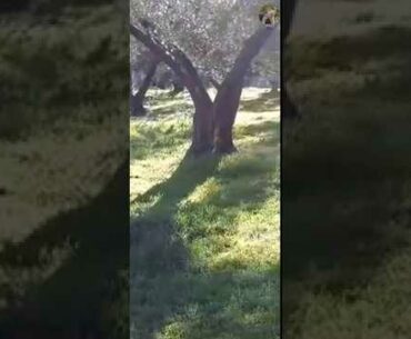 Very beautiful places and nature