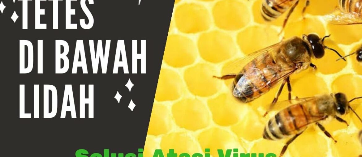 TETES DI BAWAH LIDAH CEGAH COVID 19