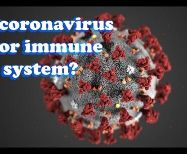Is it coronavirus or immune system that kills the patients?