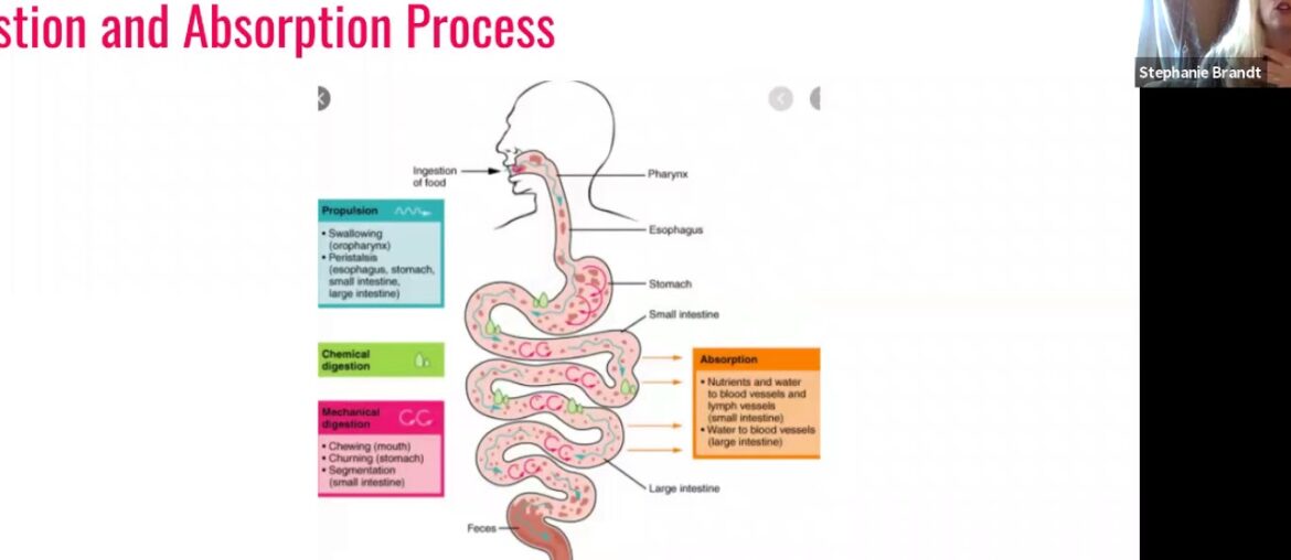 Young Living Supplements Overview