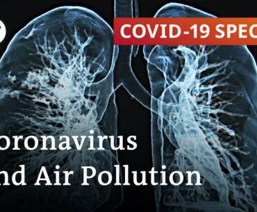 Does air pollution make cornavirus more dangerous? | COVID-19 Special