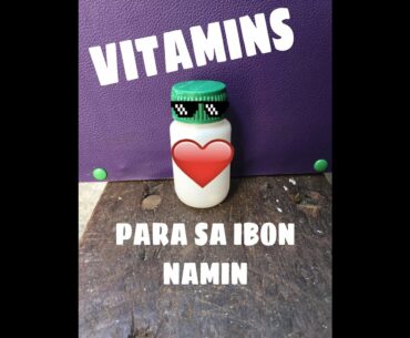 11th vlog VITAMINS PARA SA IBON NAMIN