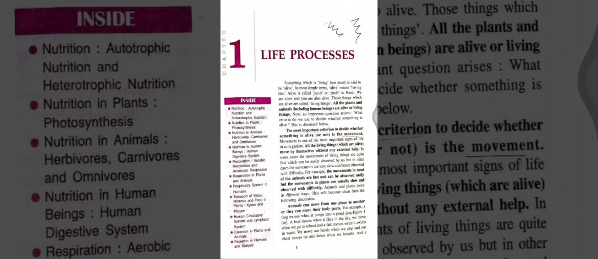 Nutrition - Life Processes1: CBSE Class 10X Science Biology