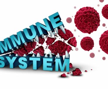 Prevent CoronaVirus COVID-19 - Food To Help Our Immune System. 8 Food To Boost the Immune system