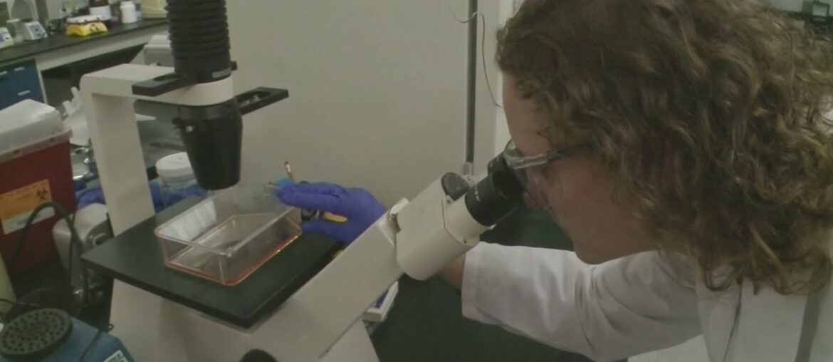 New study shows blood type could play role in severity of COVID-19 infection