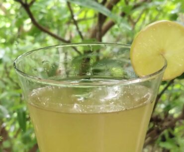 Immunity Booster Breakfast Recipe