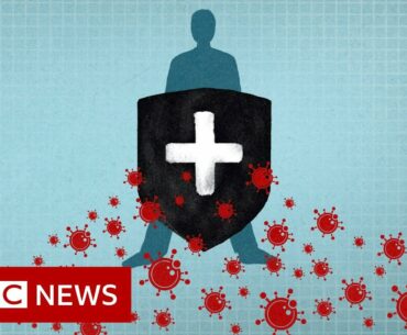 Coronavirus: Immunity explained - BBC News