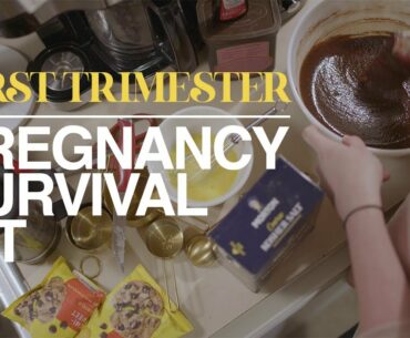 PREGNANCY SURVIVAL KIT - The First Trimester
