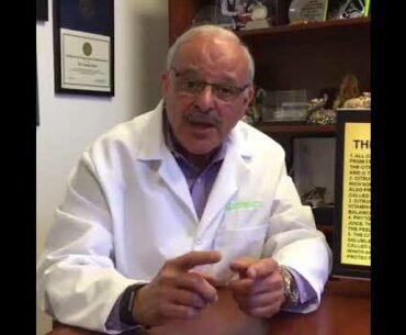 THE YELLOW-ORANGE GROUP