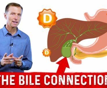 Vitamin D, Bile and Your Gallbladder