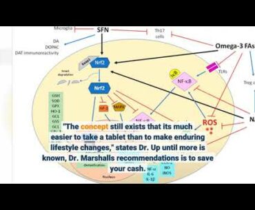 Not known Incorrect Statements About Natural ADHD Remedies: Dopamine Supplements, Vitamins