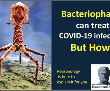 Bacteriophages can treat COVID-19 infection, But how?