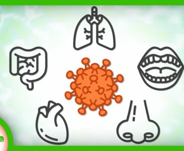 Why Does COVID-19 Have So Many Symptoms?