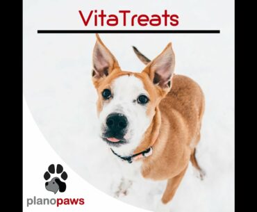 VitaTreats - Dog Vitamins and Supplements - Joint Supplement for Dogs - Dog Multivitamin Chews