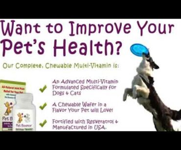 Pet Bounce Multi Vitamin  All Natural JOINT PAIN RELIEF FOR YOUR PET