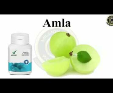 Vestige immunity Boost Supplements in COVID-19  Mob.  9892306936