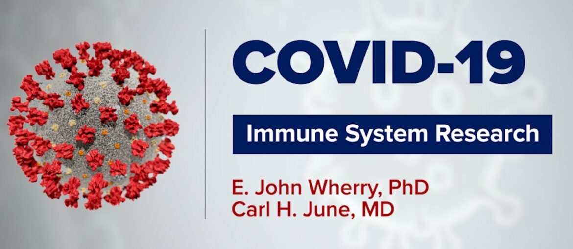 Immune System Research in Cancer and COVID-19