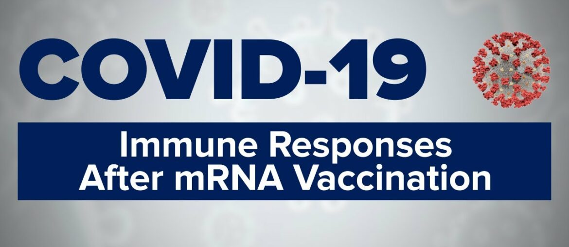 COVID-19 Symposium: Immune Responses After mRNA Vaccination | Dr. Michela Locci