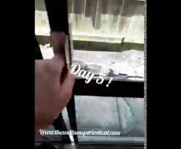 5 Days of Juicing- Day 5 Beet Pick-me-up