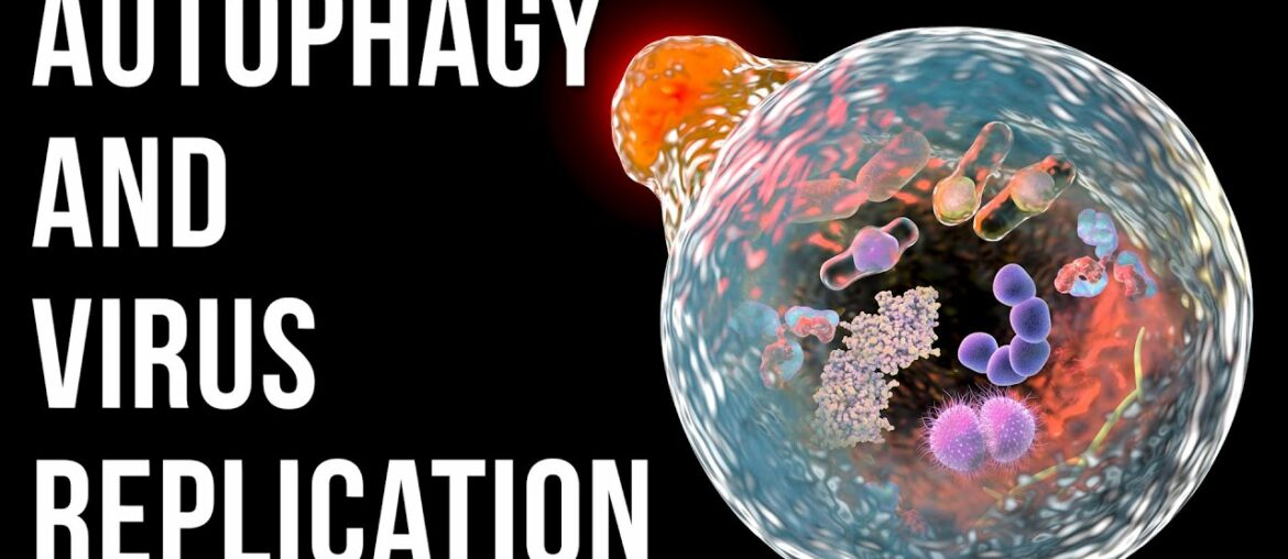 Autophagy as an Antiviral strategy