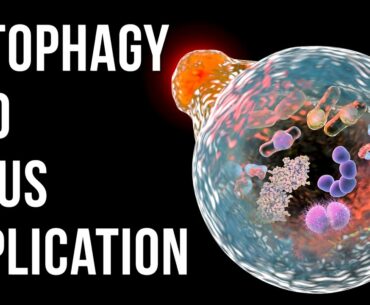 Autophagy as an Antiviral strategy