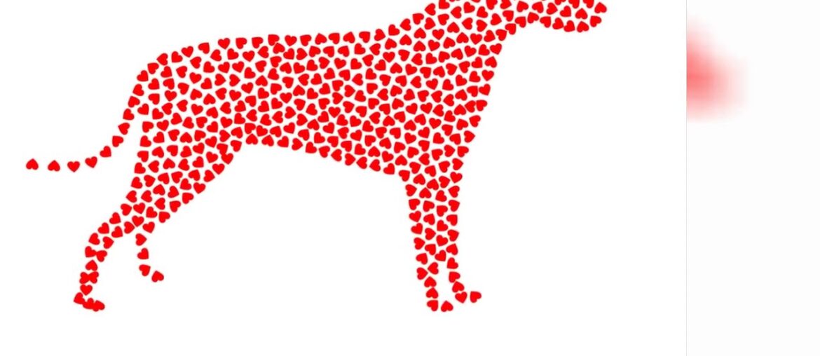 Some Known Facts About Best Dog Vitamins & Supplements - Low Prices (Free.